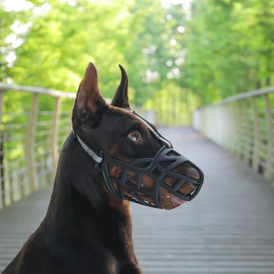 Dog Muzzle Buckle Design Innovative Wear-resistant Sturdy Tear-resistant Anti-bite Hollow Out Pet Anti-Barking