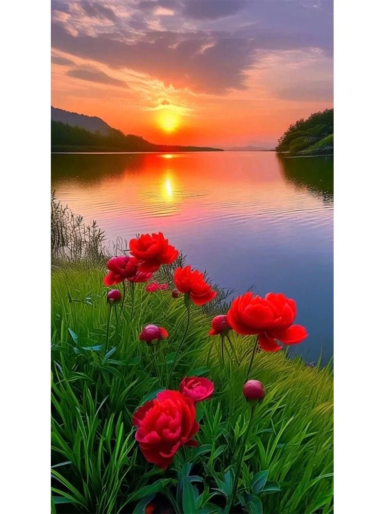 

Новый DIY 5D Алмазная картина Пейзаж Цветок Полный круг Мозаика Пейзаж Закат Алмазная вышивка Искусство Домашнее украшение Full Round 20x40CM