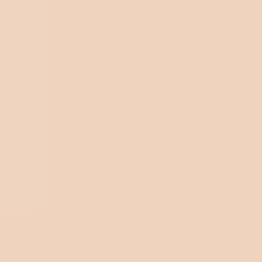 LANEIGE Neo Cushion Matte Double Set SPF46 PA++ | Ultra-Adherent Full Cover Matte Cushion