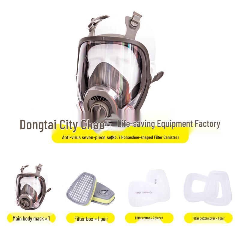 Yun Zhi Dun Full-Face Gas Mask Standard