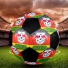 SIZE 5 RasenBallsport Leipzig Soccer Ball Colorful All Ages Machine Stitched PVC Competition Ready Durable High-Bounce