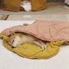 För Hund Kylande Bladmatta Sommarplatta Matta För Hundar Kattfilt Soffa Ventilerande Husdjur Hundsäng Tvättbar För Små Mellanstora Stora Hundar Ca