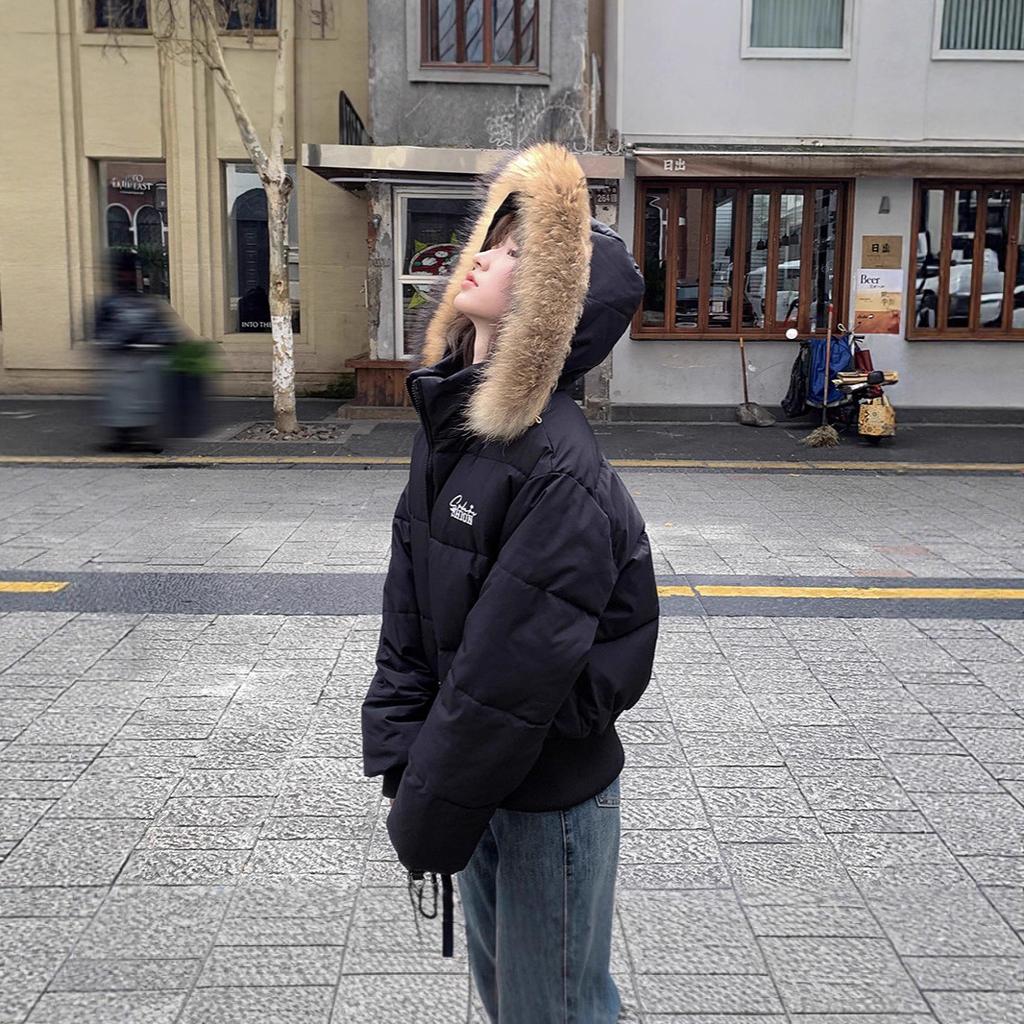 Winter Kurzer Pelzkragen Kapuzenjacke Verdickte Baumwolljacke Taillenverschlankend Sportlich Großer Pelzkragen Damen Verdickter Mantel