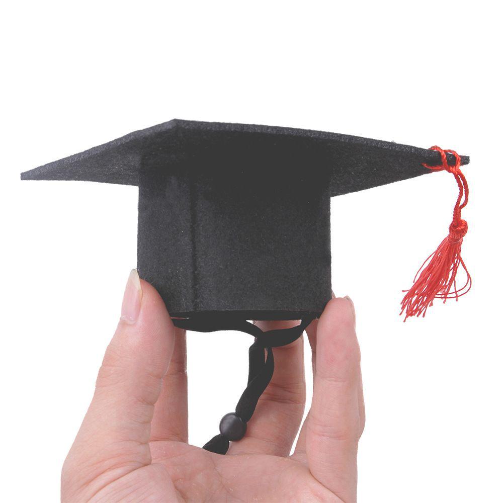 Cappello di Laurea per Piccoli Animali Domestici - Nero