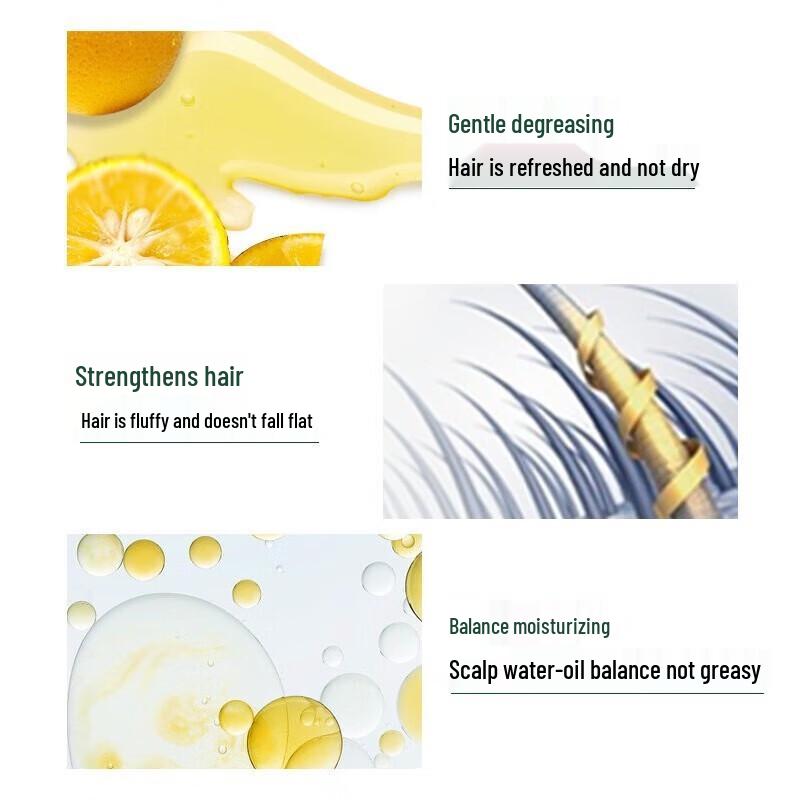 Syoss Oil Control & Volumizing Shampoo