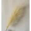 1 pz Erba di Pampas Artificiale 120cm Grande Soffice Canna Finta Fiori Artificiali Decortivi Coda Erba Bouquet Boho Decorazione Casa Forniture Matrimonio Accessori