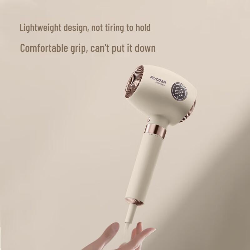 FLYCO FH6369 Negative Ion Hair Dryer