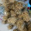 Whisk Rabbit Tail Grass Dried Flower Bouquet - Natural Pampas Grass & Small Reed
