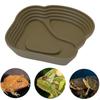 And Turtles Dish