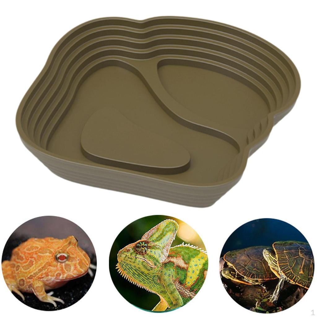And Turtles Dish