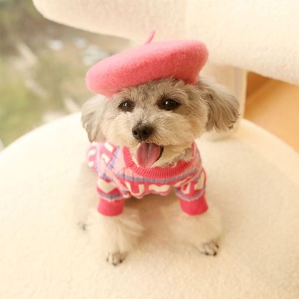 Teplý psí ohřívač Zimní čepice Pletená kočičí psí čepice Čepice pro mazlíčky Vysoce kvalitní psí fleecová čepice Baret Štěně
