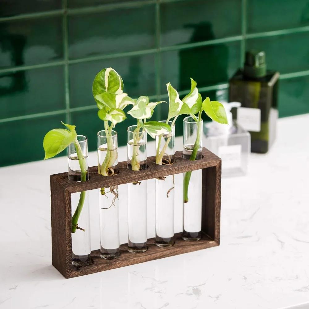 3/5 Reagenzglas Exquisite Hydroponische Glas Blumenvase mit Holzständer Schreibtisch Pflanzenvase für Heim Büro Dekoration