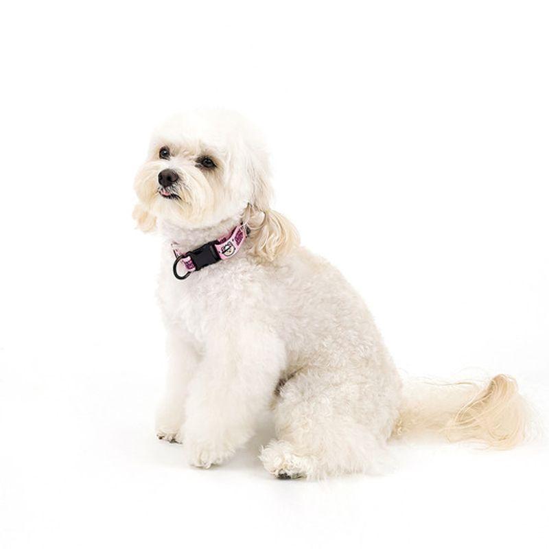 KINIKINI [Kinikini X Up Up] SWAG COVY COLLAR-PINK (Leash)