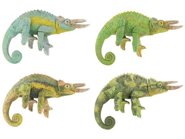 

Animalie Collection Jackson Chameleon Box 4-Piece