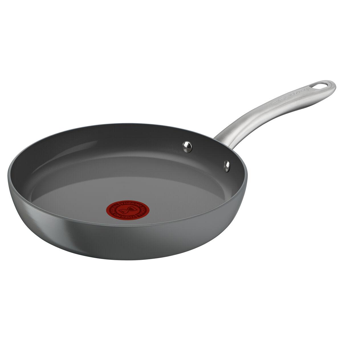 

Pan Tefal C4240453 Gray Aluminum Ø 24 cm