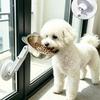 Edelstahl Magnetische Katzen Napf Platzsparend Bohrlos Hunde Wassernapf Höhenverstellbar Auslaufsicher Halswirbel Napf
