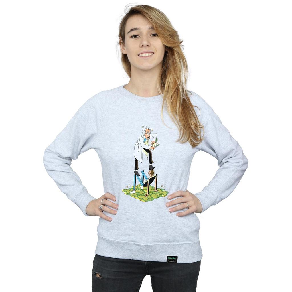 Rick And Morty Womens/Ladies Stylized Characters Sweatshirt