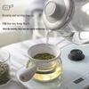 Bear 0.8L Multi-functional Health Kettle CN plug (adapter included)