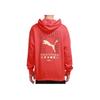 Puma Printed Sports Pullover Hoodie Men Hoodies Red 531299-23