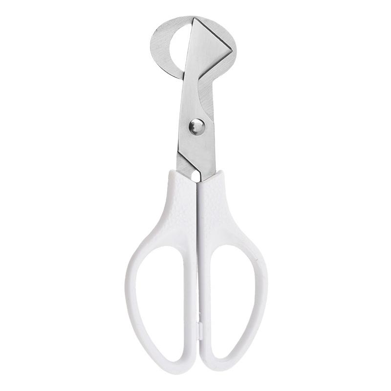 1Pc Stainless Steel Quail Egg Shell Scissors - Rust-Resistant Durable Kitchen Tool,  for Quail Egg Cutting & Cigar Trimming