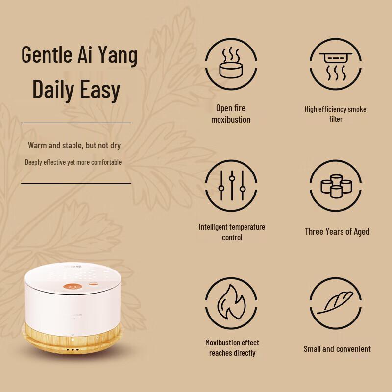 Breo Ginger Xiaozhu A2 Smokeless Portable Electronic Moxibustion Device CN plug (adapter included)