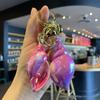 Conch Keychain Ocean Element Healing Colorful Shell Bag Charm Colorful Key Holder Backpack Accessories