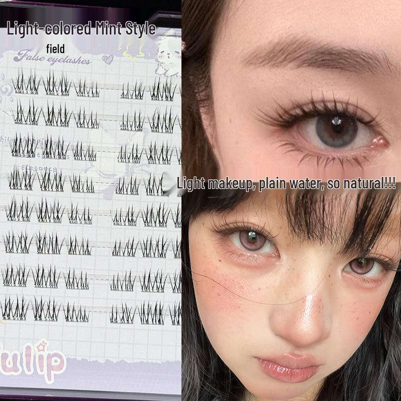 Mint Fairy Natural Japanese False Eyelashes - Light, Realistic, Beginner-Friendly, Pure Desire, Segmented for a Fresh, Net-Like Look