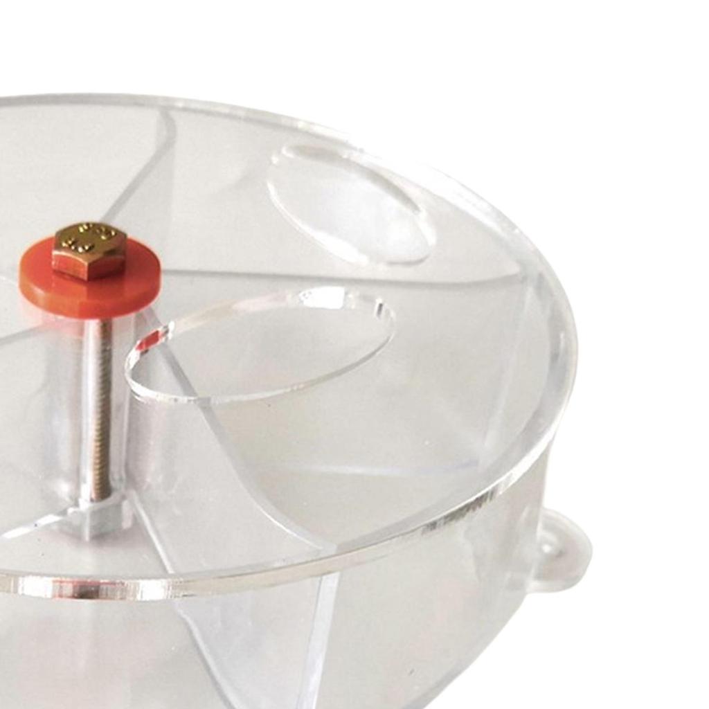 Bird Foraging Toy Transparent Interactive Feeding Wheel for Large Parrots Cockatiels Cage Decoration