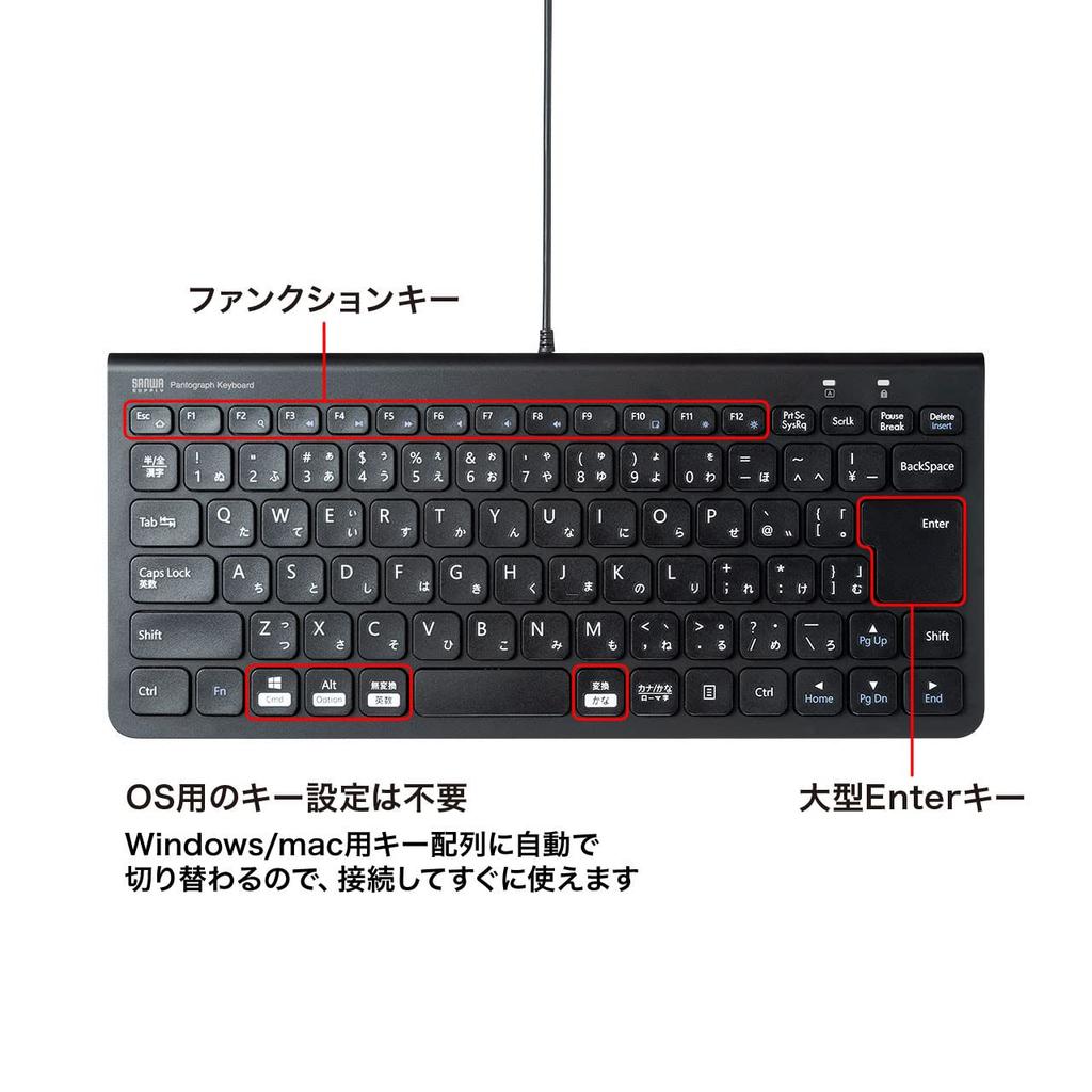 Sanwa Supply USB Slim Keyboard SKB-SL32BK