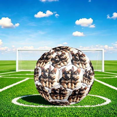 1pc Puppy Dreamscape Size 5 Soccer Ball Professional Match Training Football Indoor &Outdoor Sports Ball Lightweight Durable C6513