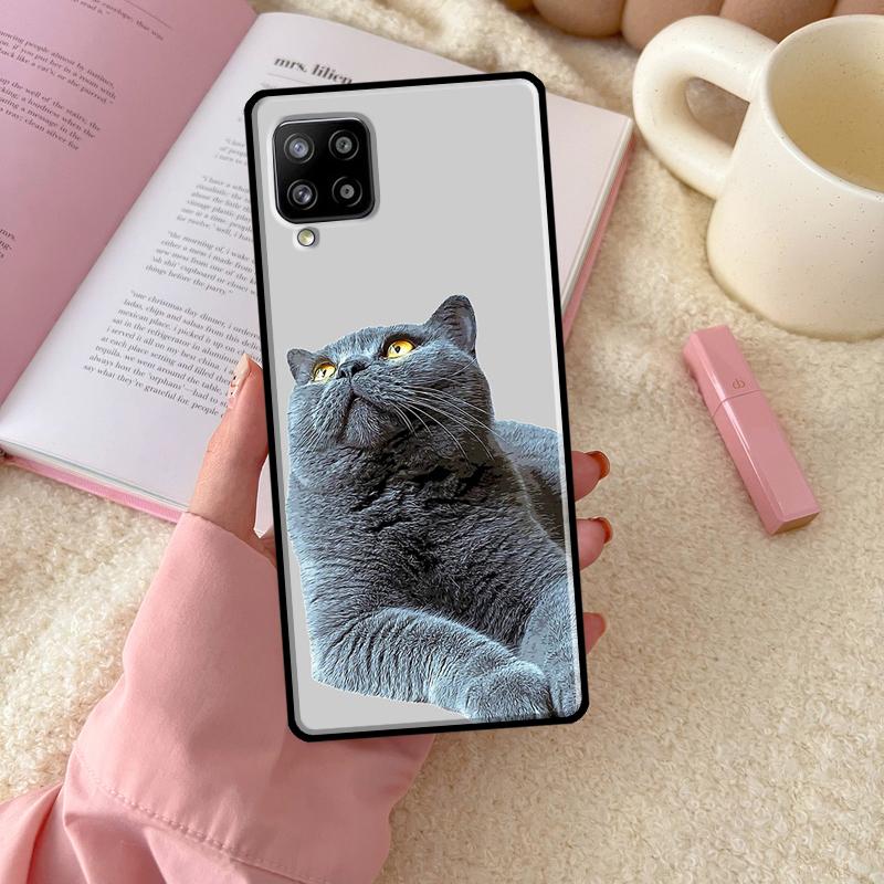 British Shorthair Cat For Samsung Galaxy A56 A54 A34 A14 A06 A16 A26 A36 A12 A32 A52 A13 A33 A53 A15 A35 A55 Case