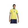 Nike Brazil 2024 Match Home ADV Authentic Jersey Dynamic Yellow/Lemon Chiffon/Green Spark Men Streetwear FJ4270-706