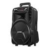 Newman N509 Portable Bluetooth Karaoke Speaker CN Plug (adapter Included)