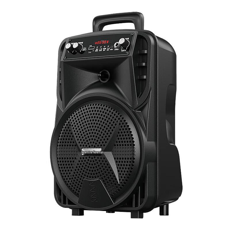 Newman N509 Portable Bluetooth Karaoke Speaker CN Plug (adapter Included)