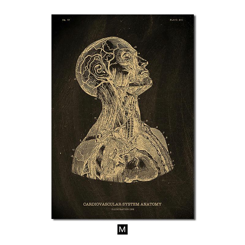 

Анатомия человека, винтажный постер, скандинавский холст, художественный принт, золотой скелет, органы, живопись, настенные панно, медицинский домашний декор 30x40cm No Frame