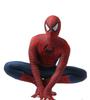 Remy Tonibi Spider-Man Cosplay Bodysuit – Halloween Zentai Suit, Full-Body Spandex Costume for Comic & Anime Fans