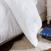 Jiang Xiaoguo Washed Cotton All-Season Fiber Quilt