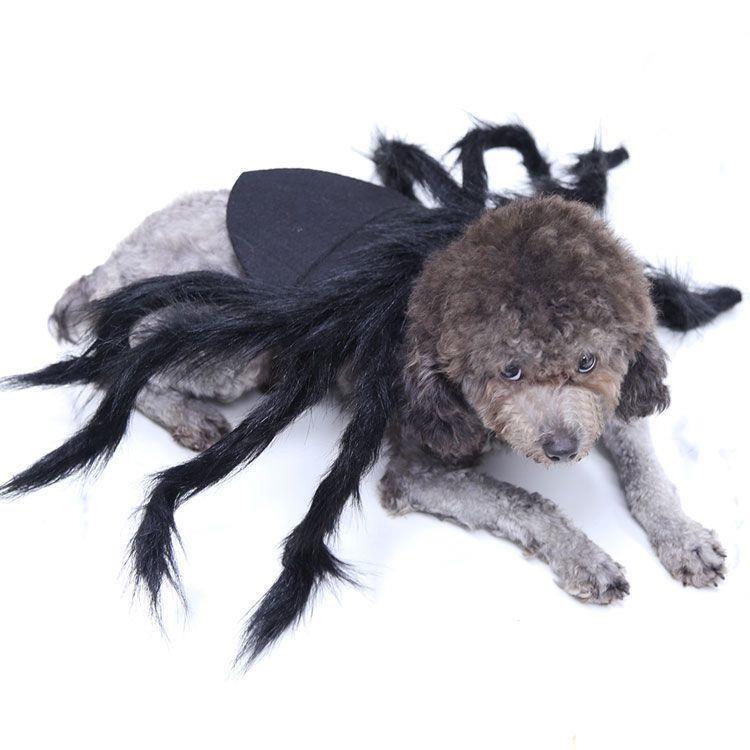 Funny Cute Halloween Spider Costume for Pets - Autumn Role-Playing Decoration