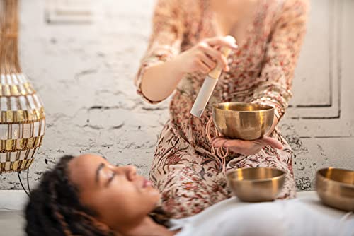 MEINL Sonic Energy Collection Singing Bowl with Resonant Mallet SB-RM-LE [Official Japanese Product]