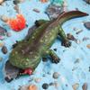 Dino Animal Model Realistic Cretaceous Period Toy for Kids and Collectors Cretaceous Period Toy Decorative Collection