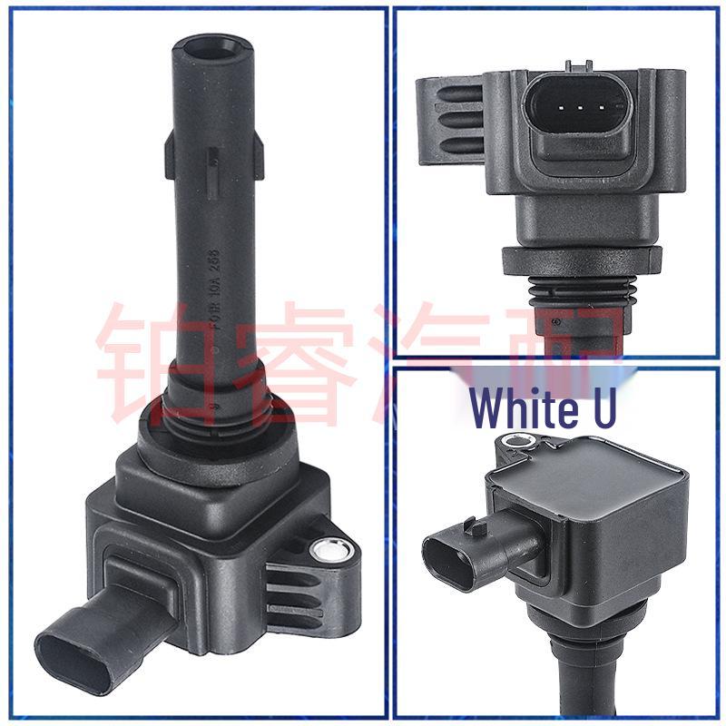 Ignition Coil F01R00A090 for Trumpchi GA3S PHEV Vision Accessories