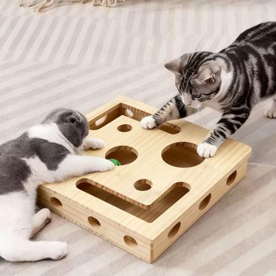 Kedi – Kedi Oyuncakları