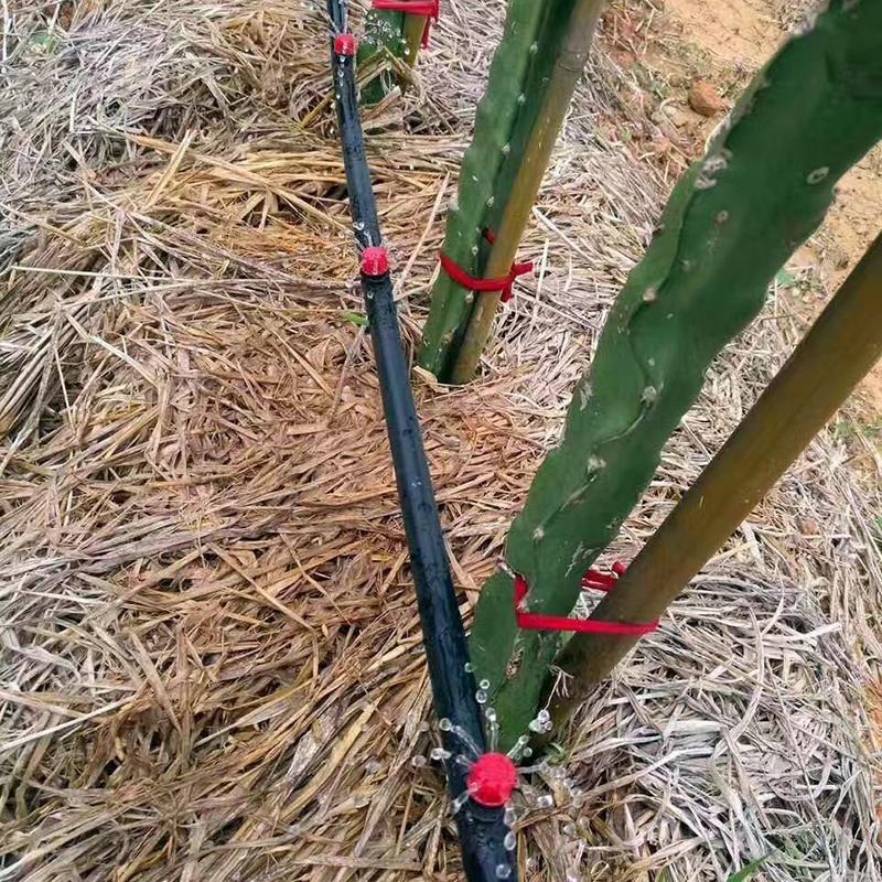 5-50m Drip Irrigation System Greenhouse Automatic Watering Kits Garden Hose Micro Drip Watering Kits with Adjustable Drippers