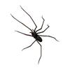 Soft Realistic Spiders Magnet Plastic Magnetic Refrigerator Sticker for Kitchen Fridge and Whiteboard Office Partitions