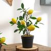 Artificial Plants Bonsai Fruit Tree Potted for Home Wedding Room Decor Flower Fake Fruit Potted Plants