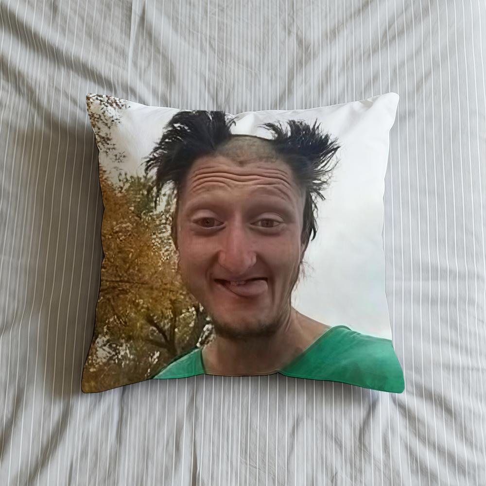 Cushion Cover Soft Case Sofa Living D-Daniel Selfie Room Home Comfortable Office Larson Decor Protective Pillow