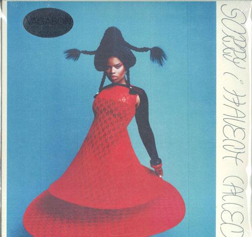 

LP Record VAGABON - Sorry I Haven t Called 075597911633 Nonesuch 2023 US Rock