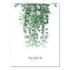 Nature Tropical Palm Leaf Monstera Wall Art Canvas Painting Nordic Posters And Prints Wall Pictures For Living Room Home Decor