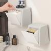 Wandmontierte Aufbewahrungsbox Perforationsfrei Badezimmer Badezimmerwand Klappbarer Eimer Aufbewahrungsbox Für Damenbinden Und Papierhandtücher