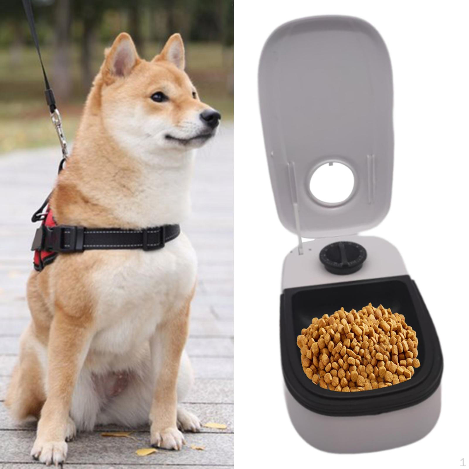 

Автоматическая кормушка для домашних животных, миска для кормления маленьких и средних кошек, простая очистка, удобная портативная, с таймером Single Bowl